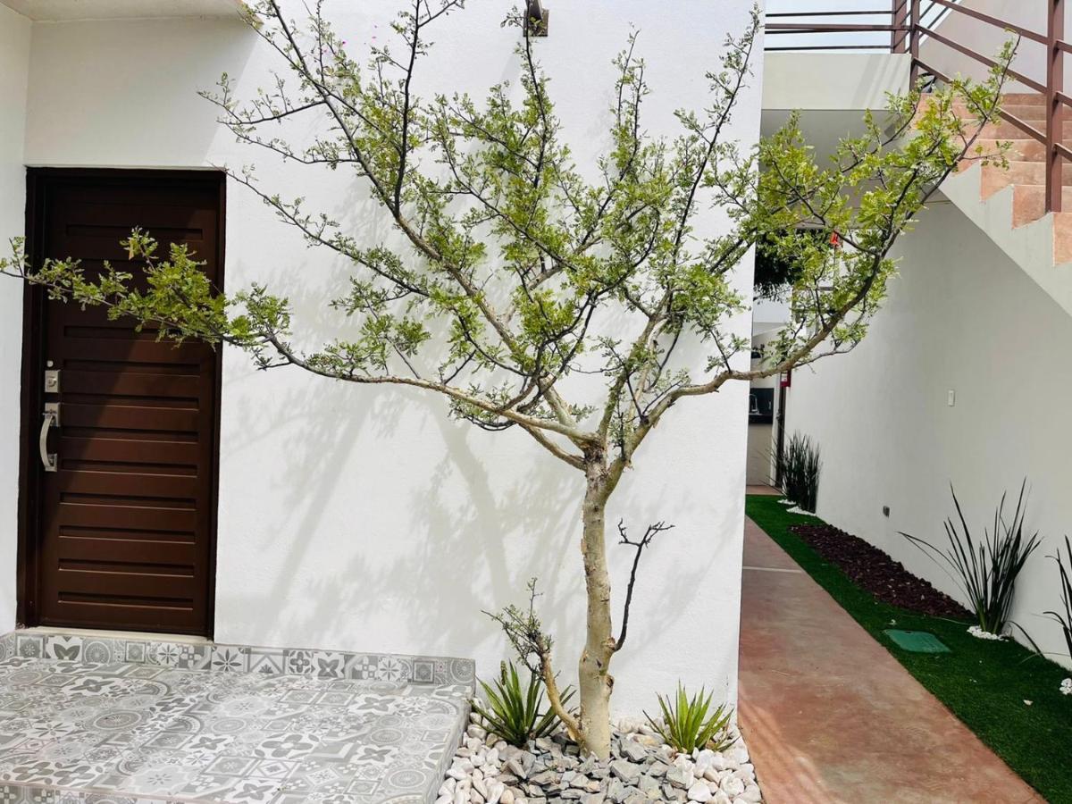 Casa Maya La Paz Luaran gambar
